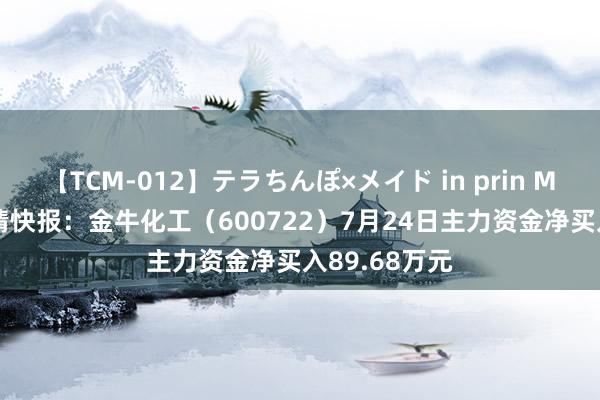 【TCM-012】テラちんぽ×メイド in prin MIKA 股票行情快报：金牛化工（600722）7月24日主力资金净买入89.68万元