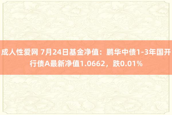 成人性爱网 7月24日基金净值：鹏华中债1-3年国开行债A最新净值1.0662，跌0.01%