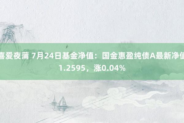 喜爱夜蒲 7月24日基金净值：国金惠盈纯债A最新净值1.2595，涨0.04%