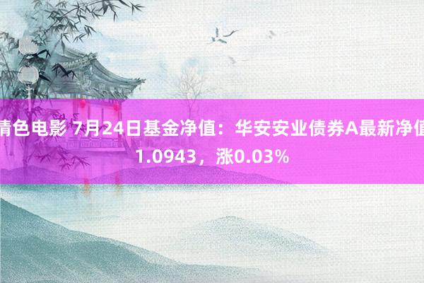 情色电影 7月24日基金净值：华安安业债券A最新净值1.0943，涨0.03%