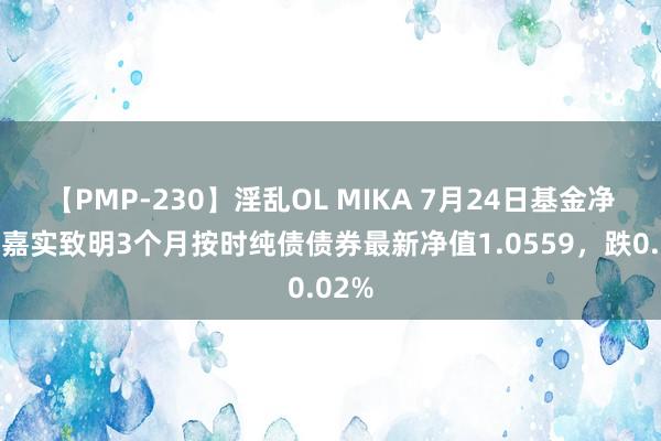 【PMP-230】淫乱OL MIKA 7月24日基金净值：嘉实致明3个月按时纯债债券最新净值1.0559，跌0.02%