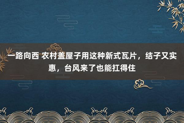 一路向西 农村盖屋子用这种新式瓦片，结子又实惠，台风来了也能扛得住