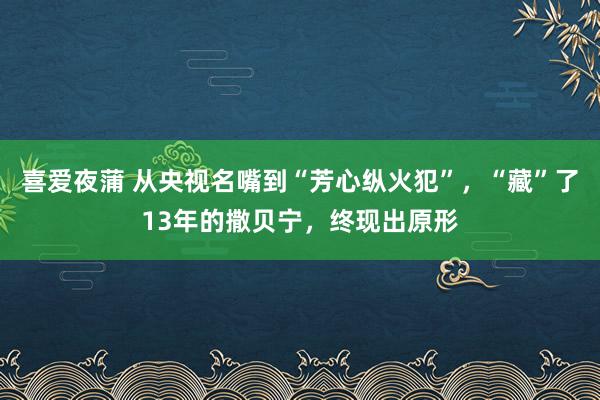 喜爱夜蒲 从央视名嘴到“芳心纵火犯”，“藏”了13年的撒贝宁，终现出原形