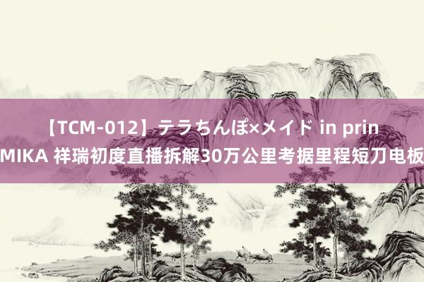 【TCM-012】テラちんぽ×メイド in prin MIKA 祥瑞初度直播拆解30万公里考据里程短刀电板