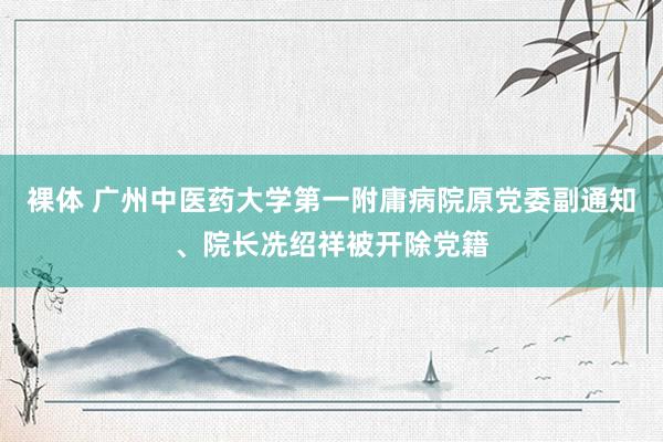 裸体 广州中医药大学第一附庸病院原党委副通知、院长冼绍祥被开除党籍