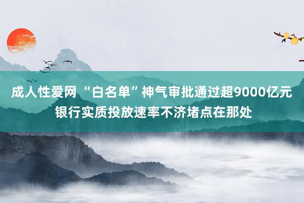 成人性爱网 “白名单”神气审批通过超9000亿元 银行实质投放速率不济堵点在那处