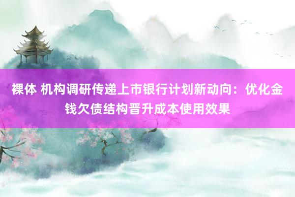 裸体 机构调研传递上市银行计划新动向：优化金钱欠债结构晋升成本使用效果