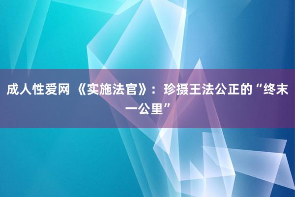 成人性爱网 《实施法官》：珍摄王法公正的“终末一公里”