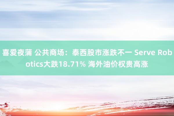 喜爱夜蒲 公共商场：泰西股市涨跌不一 Serve Robotics大跌18.71% 海外油价权贵高涨