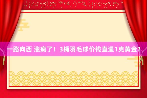 一路向西 涨疯了！3桶羽毛球价钱直逼1克黄金？