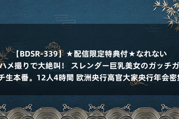 【BDSR-339】★配信限定特典付★なれない感じの新人ちゃんが初ハメ撮りで大絶叫！ スレンダー巨乳美女のガッチガチ生本番。12人4時間 欧洲央行高官大家央行年会密集发声，9月降息呼声高涨