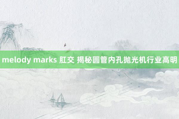 melody marks 肛交 揭秘圆管内孔抛光机行业高明