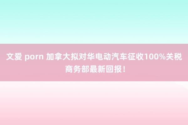 文爱 porn 加拿大拟对华电动汽车征收100%关税 商务部最新回报！