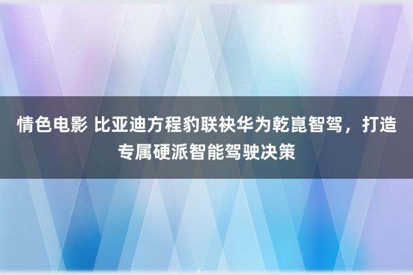 情色电影 比亚迪方程豹联袂华为乾崑智驾，打造专属硬派智能驾驶决策