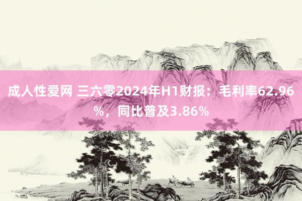 成人性爱网 三六零2024年H1财报：毛利率62.96%，同比普及3.86%