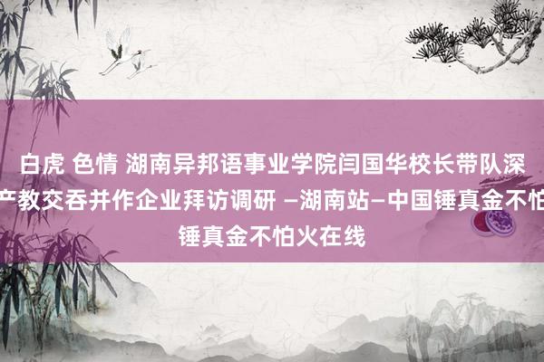 白虎 色情 湖南异邦语事业学院闫国华校长带队深切学校产教交吞并作企业拜访调研 —湖南站—中国锤真金不怕火在线