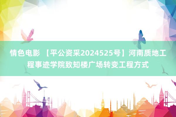 情色电影 【平公资采2024525号】河南质地工程事迹学院致知楼广场转变工程方式