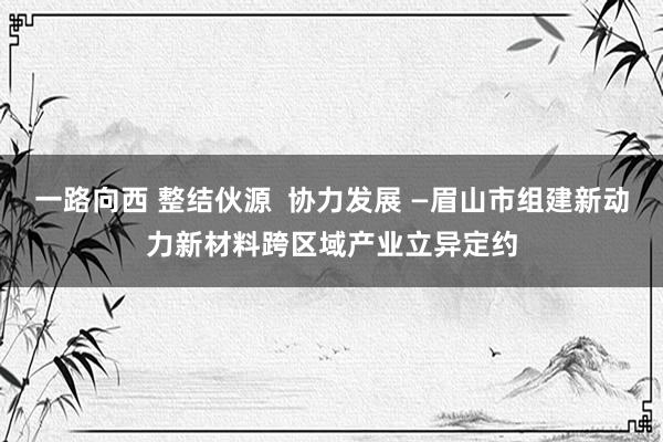 一路向西 整结伙源  协力发展 —眉山市组建新动力新材料跨区域产业立异定约